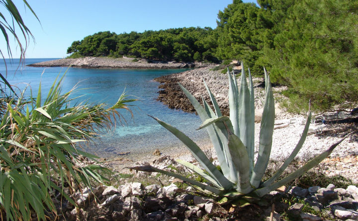 Mali Losinj - Hello Summer Teil 1 - Juli 2015