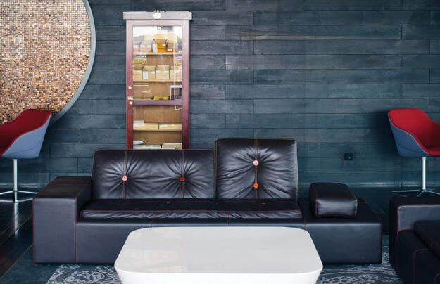 a.lounge leather couch